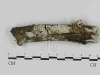 登錄號:F0016935藏品圖，第1張