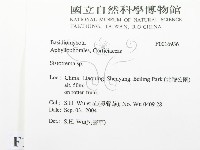 登錄號:F0016936藏品圖，第2張