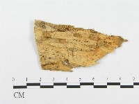 登錄號:F0016936藏品圖，第3張