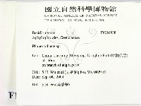 顯絲菌屬藏品圖，第2張