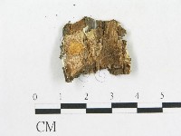 登錄號:F0016941藏品圖，第3張