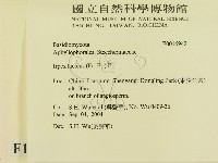 登錄號:F0016942藏品圖，第2張