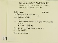 登錄號:F0016943藏品圖，第2張
