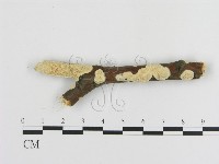登錄號:F0016943藏品圖，第1張