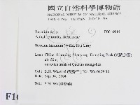 登錄號:F0016944藏品圖，第2張