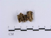 登錄號:F0016944藏品圖，第1張