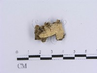 登錄號:F0016944藏品圖，第3張