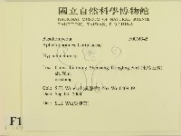 登錄號:F0016945藏品圖，第2張