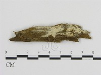 登錄號:F0016945藏品圖，第1張