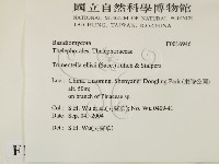 登錄號:F0016946藏品圖，第2張