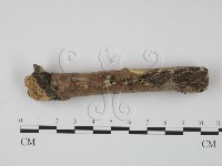 登錄號:F0016946藏品圖，第1張