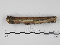 登錄號:F0016946藏品圖，第3張