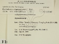 登錄號:F0016948藏品圖，第2張
