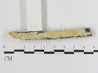 登錄號:F0016948藏品圖，第1張