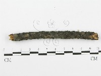 登錄號:F0016949藏品圖，第3張