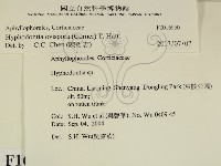 登錄號:F0016950藏品圖，第2張