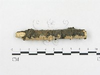 登錄號:F0016951藏品圖，第3張