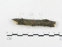登錄號:F0016951藏品圖，第4張