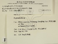 登錄號:F0016952藏品圖，第2張