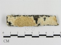 登錄號:F0016953藏品圖，第1張