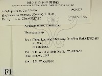 登錄號:F0016955藏品圖，第2張