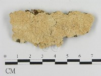 登錄號:F0016955藏品圖，第1張