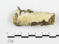 登錄號:F0016956藏品圖，第1張