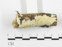 登錄號:F0016956藏品圖，第3張