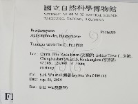 雲芝藏品圖，第2張