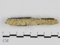 登錄號:F0016960藏品圖，第1張