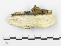 登錄號:F0016961藏品圖，第4張