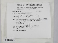 登錄號:F0016963藏品圖，第2張