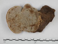登錄號:F0016963藏品圖，第3張