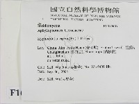 登錄號:F0016967藏品圖，第2張