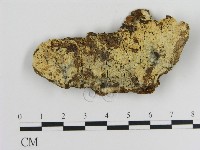 登錄號:F0016967藏品圖，第1張