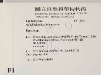登錄號:F0016968藏品圖，第2張