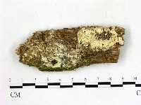 登錄號:F0016969藏品圖，第1張