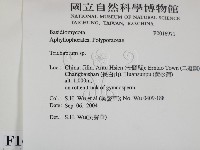 附毛菌屬藏品圖，第2張