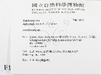 登錄號:F0016972藏品圖，第2張