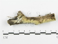 登錄號:F0016972藏品圖，第1張