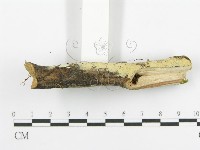 登錄號:F0016972藏品圖，第3張