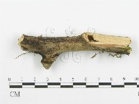 登錄號:F0016972藏品圖，第4張