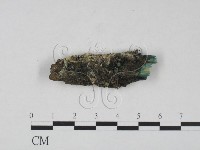 登錄號:F0016973藏品圖，第1張