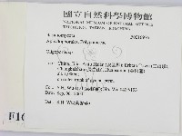 寡孔菌屬藏品圖，第2張