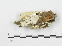 登錄號:F0016977藏品圖，第3張