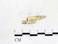 登錄號:F0016978藏品圖，第1張