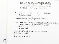 登錄號:F0016979藏品圖，第2張