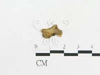 登錄號:F0016979藏品圖，第3張