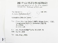 登錄號:F0016981藏品圖，第2張