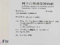 登錄號:F0016983藏品圖，第2張